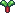 Rhubarb